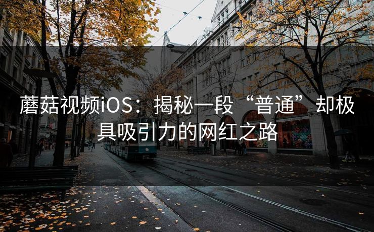 蘑菇视频iOS：揭秘一段“普通”却极具吸引力的网红之路