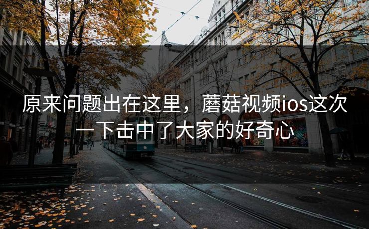 原来问题出在这里，蘑菇视频ios这次一下击中了大家的好奇心