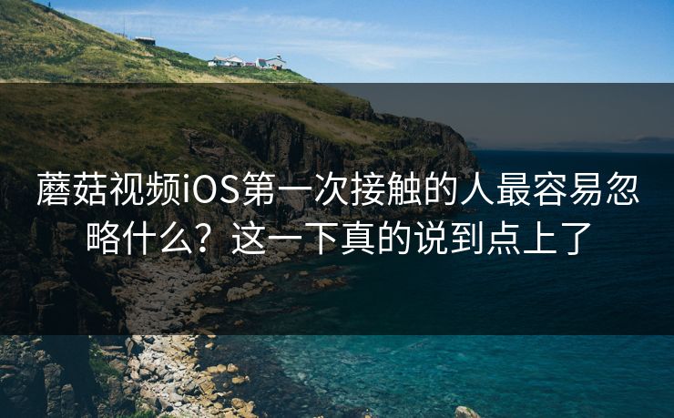 蘑菇视频iOS第一次接触的人最容易忽略什么?这一下真的说到点上了 蘑菇视频iOS第一次接触的人最容易忽略什么?这一下真的说到点上了
