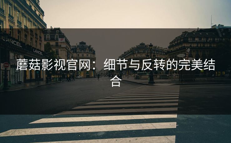 蘑菇影视官网：细节与反转的完美结合