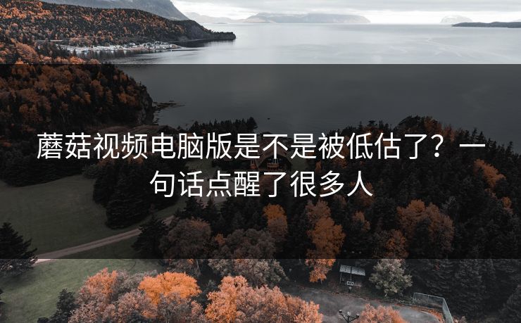 蘑菇视频电脑版是不是被低估了？一句话点醒了很多人