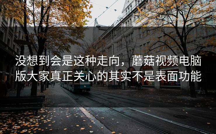 没想到会是这种走向，蘑菇视频电脑版大家真正关心的其实不是表面功能