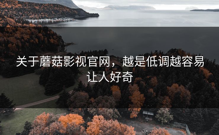 关于蘑菇影视官网，越是低调越容易让人好奇