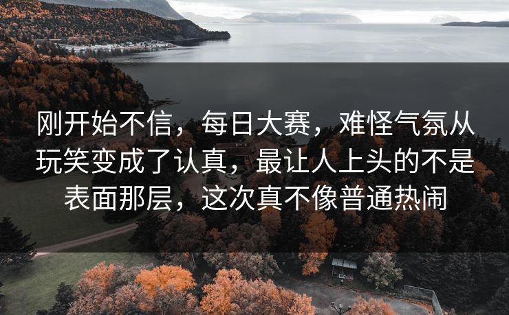 刚开始不信，每日大赛，难怪气氛从玩笑变成了认真，最让人上头的不是表面那层，这次真不像普通热闹