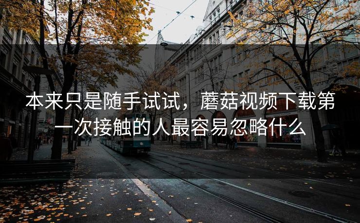 本来只是随手试试，蘑菇视频下载第一次接触的人最容易忽略什么