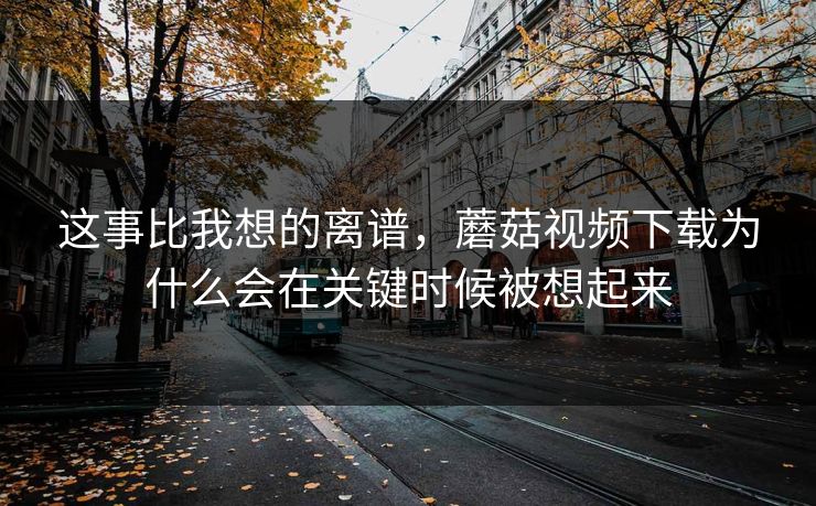 这事比我想的离谱，蘑菇视频下载为什么会在关键时候被想起来