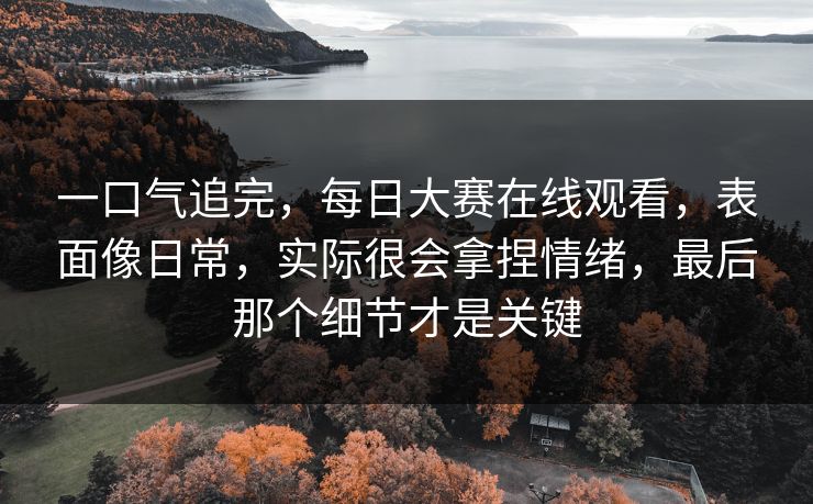 一口气追完，每日大赛在线观看，表面像日常，实际很会拿捏情绪，最后那个细节才是关键