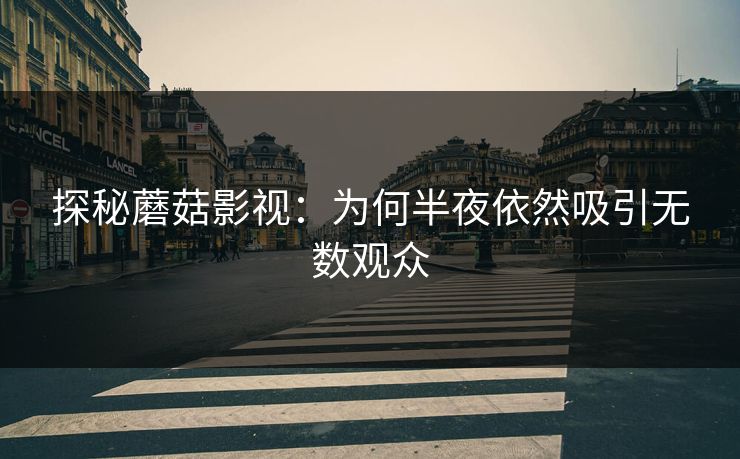 探秘蘑菇影视：为何半夜依然吸引无数观众