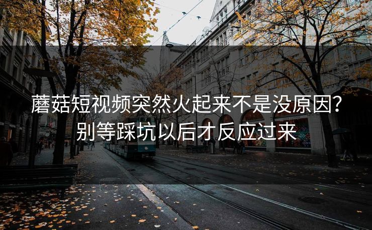 蘑菇短视频突然火起来不是没原因?别等踩坑以后才反应过来 蘑菇短视频突然火起来不是没原因?别等踩坑以后才反应过来