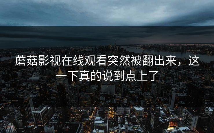 蘑菇影视在线观看突然被翻出来，这一下真的说到点上了