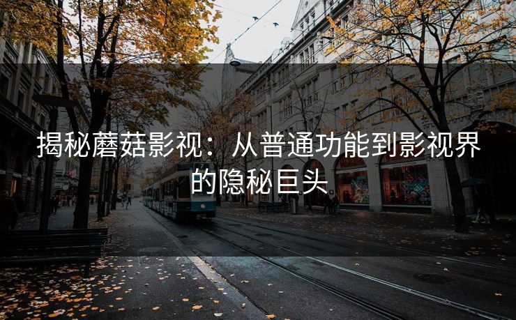 揭秘蘑菇影视：从普通功能到影视界的隐秘巨头