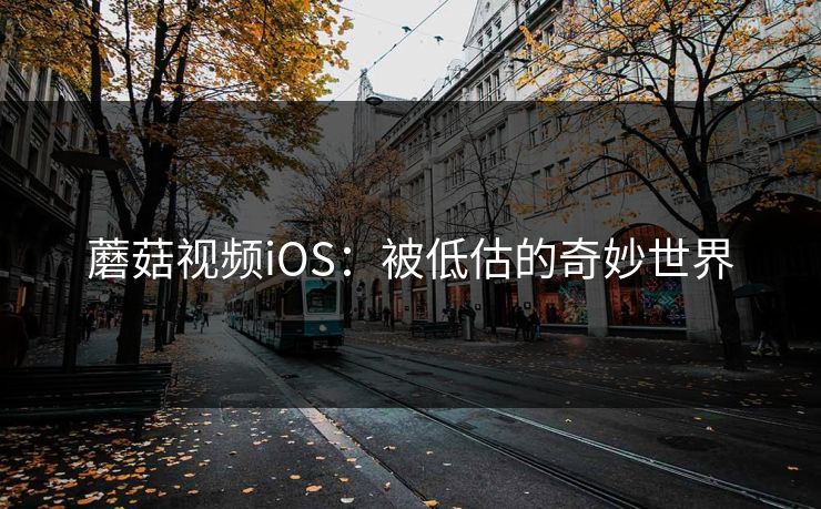 蘑菇视频iOS:被低估的奇妙世界 蘑菇视频iOS:被低估的奇妙世界